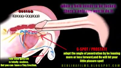¡Cómo alcanzar el orgasmo anal! No te lo pierdas [sissy, transexual, trap, orgasmo, corrida, sexo, guarra]