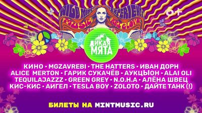 Festiwal „Dzikia Mięta 2021” – trzy dni muzyki, miłości i wolności!