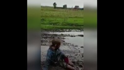El verano en el campo