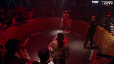 [Kimchi MMA] Anubis kontra Timur Zolotyi na Top Dog 8 / Pełna analiza walki