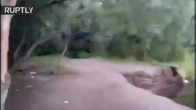 Un Américain et un Russe face à un ours