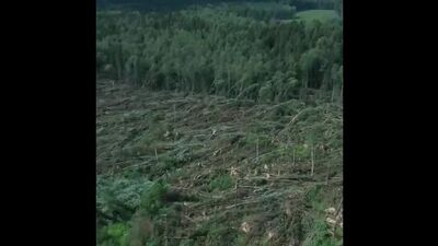 Film autorstwa „Podsłuchane w Werchnedwinsku”