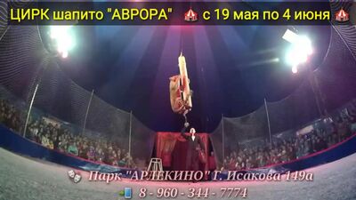 «ARLEKINO» саябағындағы «Аврора» шатырлы цирк