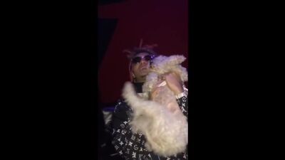 Lil Pump, cabra, vadia