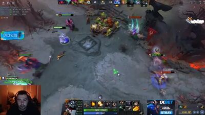 [Dota 2 Twitch] Stray 12 MINUTES RESPECTE LES ABEILLES\ Compilation, Stray228 écoute la chanson « Qui respecte les abeilles ? »\ Les abeilles et Stray