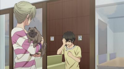 «Більше, ніж кохані» 2 сезон, 1 серія [російська озвучка Majestic-Kun, Anori] Super Lovers TV-2