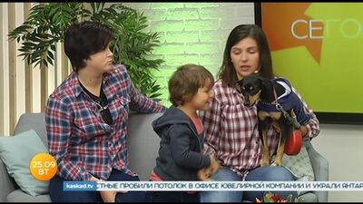 НТРК КАСКАД: У Калінінграді відбудеться благодійний фестиваль «Рок на захист тварин»