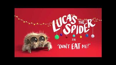 14. Лукас Паук — Не їж мене • Lucas The Spider
