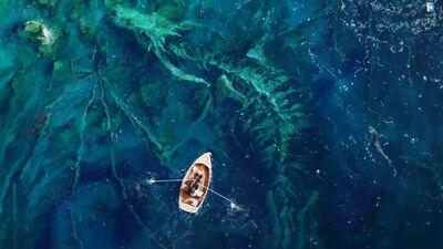 El esqueleto de un dragón bajo el agua y un barco: fondo de pantalla animado para Wallpaper Engine