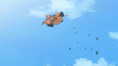 Naruto, temporada 1, episodio 205: «La misión secreta de Kurenai: la promesa al Tercer Hokage»