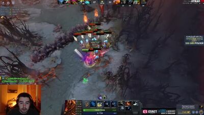 [STRAY TV] UMA RAPARIGA NO DOTA! «ESTA É A MÃE DE ALGUÉM». A MELHOR APARECIDA NO SHAKER!