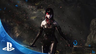 Ein neuer Held in Paragon: Die Gräfin