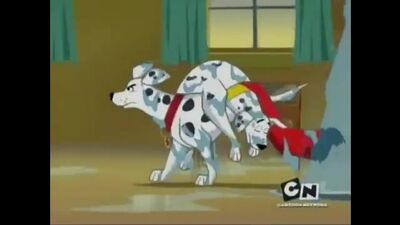 Krypto, o Supercão – Clipe «Cães Velhos, Novos Truques» #4