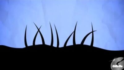 Як правильно голити пах. Рекомендації від Gillette