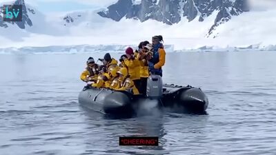 En la Antártida, un pingüino saltó a una embarcación en la que viajaban unos turistas que pasaban por allí para escapar de una manada de orcas
