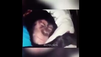 Irjan, steh auf, es ist Zeit, zur Arbeit zu gehen