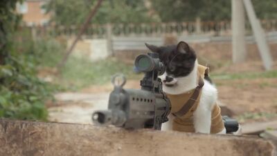 Кішки проти зомбі (Cats vs Zombies) Фільми жахів
