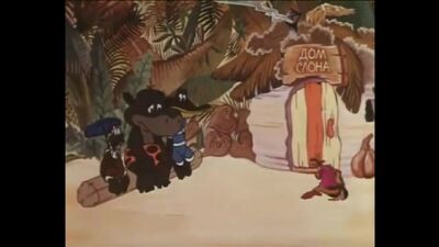 Um presente para o elefante