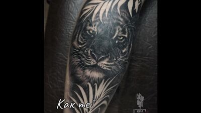 Color Skin - Studio di tatuaggi a Khimki