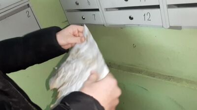 Fenómeno Paranormal FINAL (PÁRODIA)