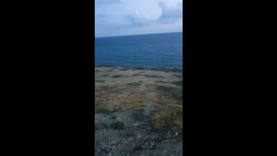 Live: АНОНІМНА АНАПА