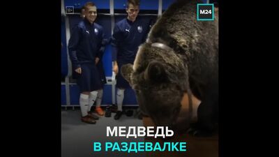 Um urso no balneário do clube amador «Sakhalinets» – Moscovo 24