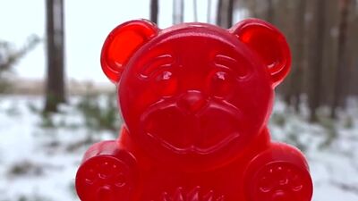 L'ours en gélatine Valera : nouvelle vidéo éducative 2019 et nouvelle série de vidéos drôles sur les pétards pour enfants pour le Nouvel An 2019