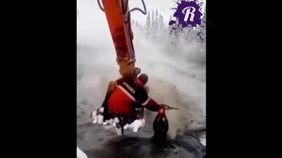 Derramamento de petróleo da Lukoil