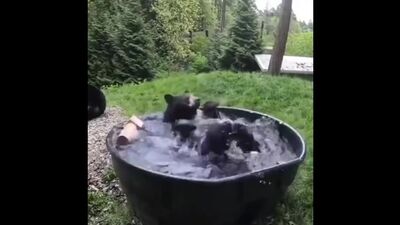Prendre un bain, boire une tasse de café