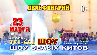 Дельфінарій у Тюмені з 23 березня 2017 року