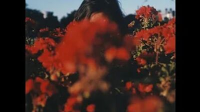 Stzzy. - Les derniers jours de l'été (mix lo-fi hip-hop)